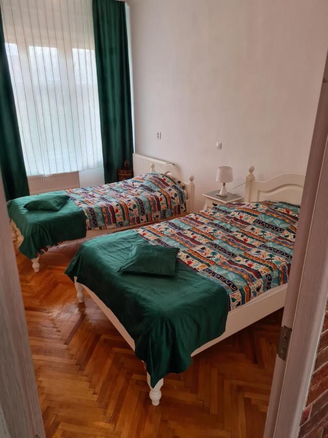 Stradela Cetatii Apartment 시기쇼아라 외부 사진