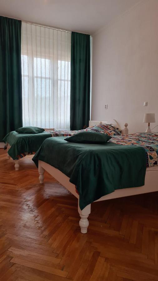 Stradela Cetatii Apartment 시기쇼아라 외부 사진